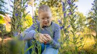 A blonde girl wearing glasses and a striped shirt crouches in a meadow looking at an insect on her finger.
