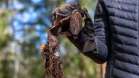 Henkilö pitää kädessään maasta löytynyttä, likaista nahkakappaletta metsäisessä ympäristössä.