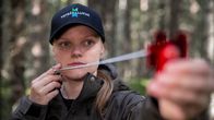 Jane Rekola,inventoija, metsähallitus, metsäinventointi.