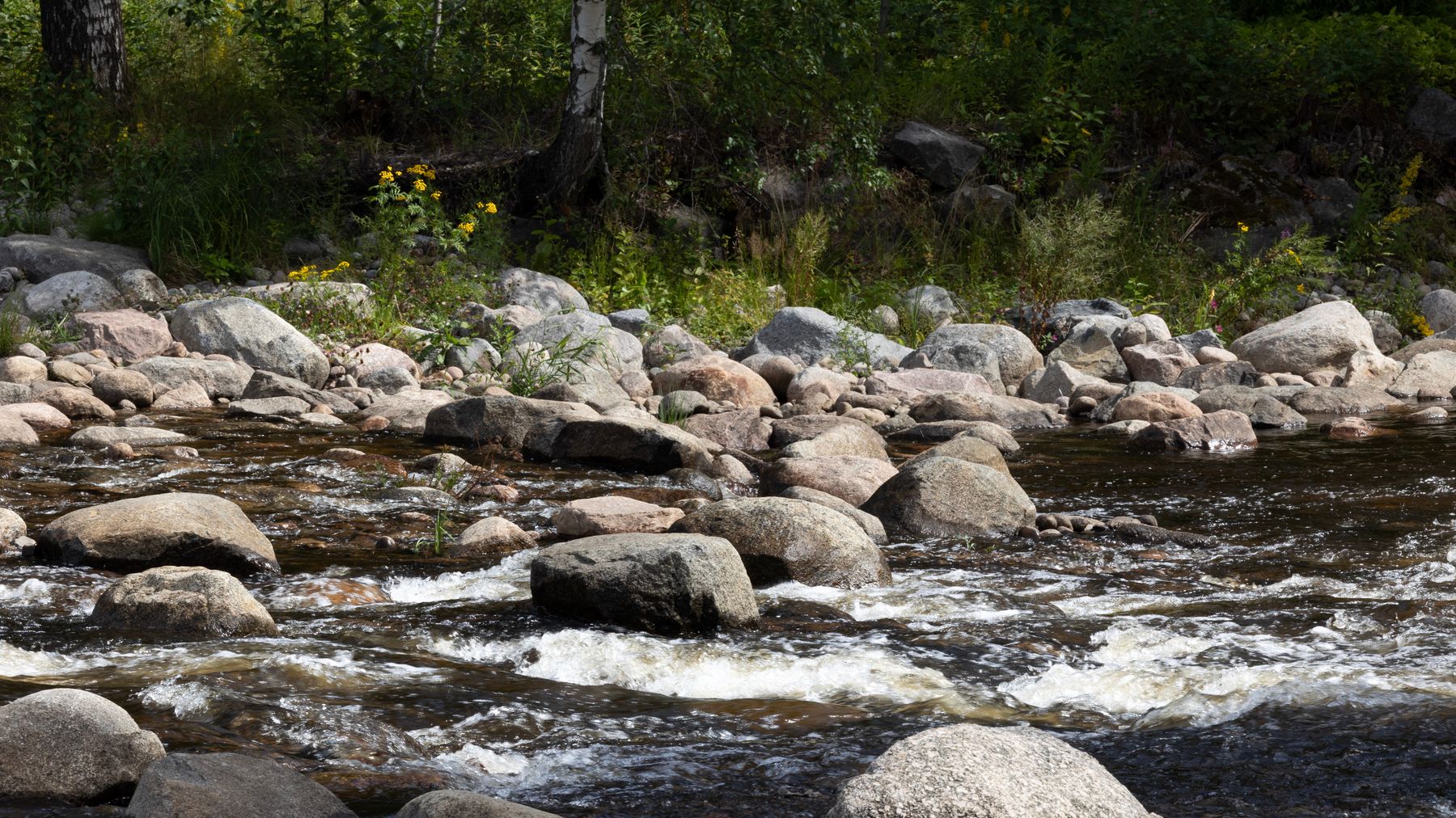 Kunnostettu Tourujoen koski.