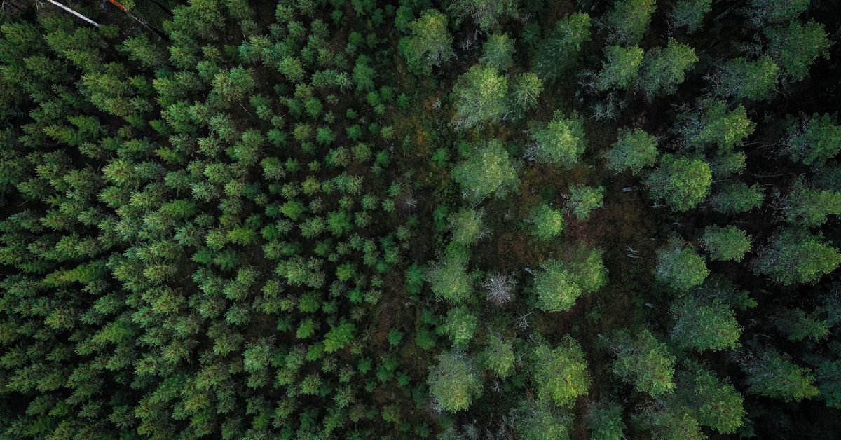yle.fi