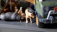 Leijona-lelu autolelun vieressä. Vieressä muita eläinleluja selällään.
