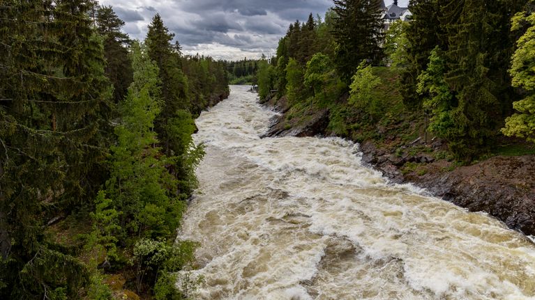 Virtaava Imatran koski.
