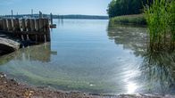 Green cyanobacteria in seawater on the coast of Porvoo.