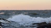 Rocky shore, choppy sea, a pink-and-blue sky, and a lone bird in flight.