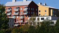 Useita värikkäitä asuinkerrostaloja puiden takana kirkkaassa päivänvalossa, taustalla sininen taivas.