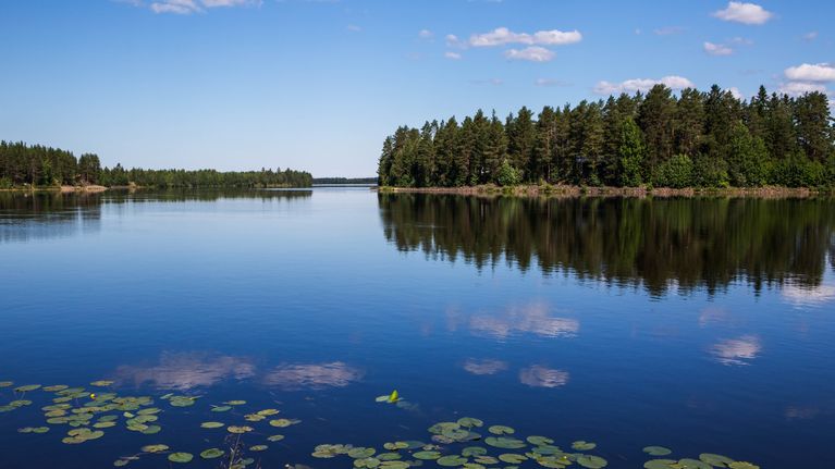 Kesä ja järvi