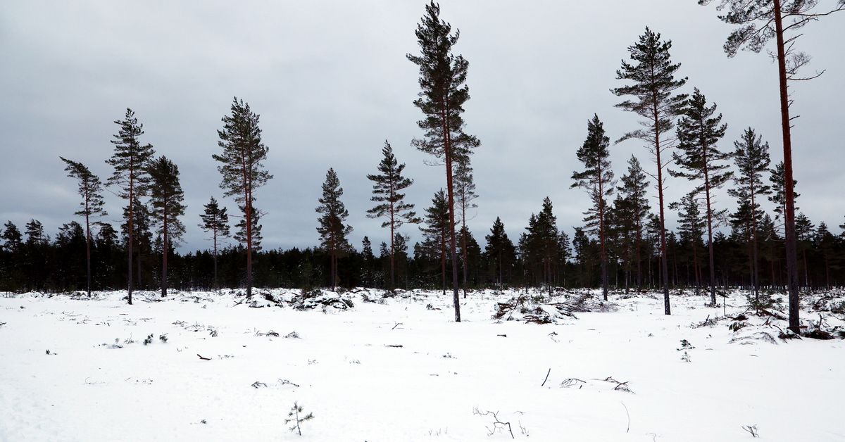 yle.fi