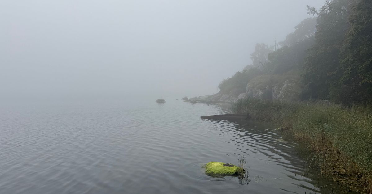 Vedestä löytyi vainaja Helsingin Jollaksessa