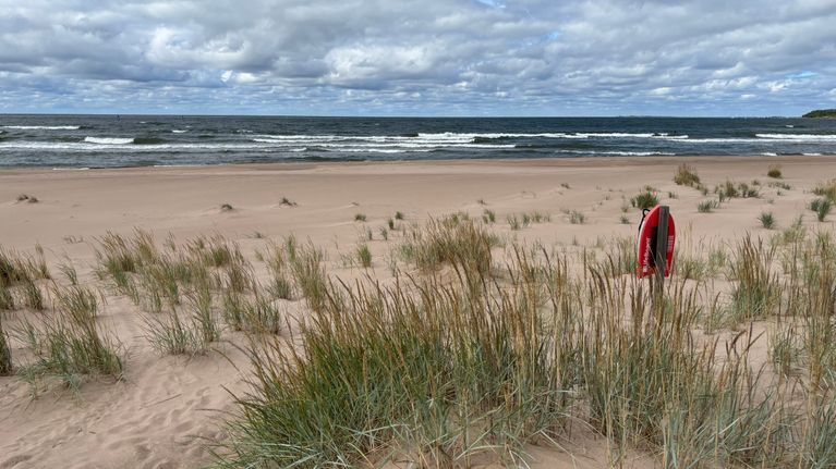 En sandstrand med strandgräs och en röd livboj står placerad nära vattnet. Havet syns i bakgrunden under molnig himmel.