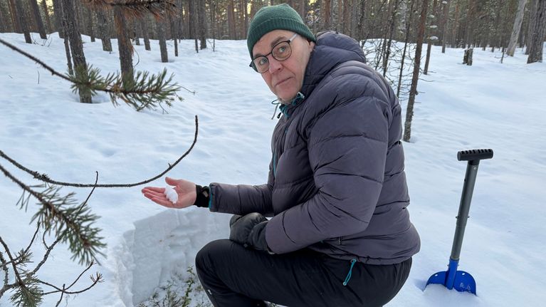 Luken tutkija Jouko Kumpula tutkii porojen laiduntilannetta.