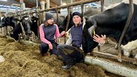 Pihlanmäen tilan uudet yrittäjät Siiri Lauronen ja Juhani Heikkinen lehmien kanssa.