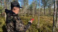Kallioluoman poroisäntä Heikki Härmä hakee paikantimella poron sijaintia.