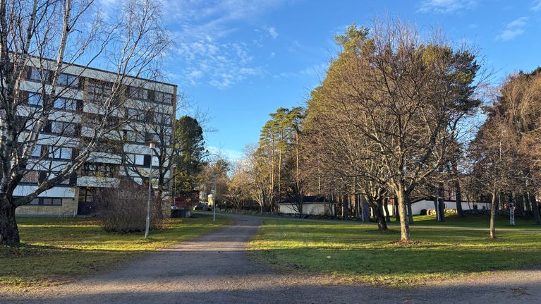 Länsipuisto rajoittuu Katarinan kalmistoon ja kerrostaloon.