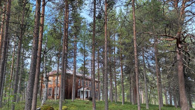 Kuvassa on Koppelon vanha koulu eli Ruottukan koulu. Edessä on puita. Koulurakennus on hirsirakenteinen.