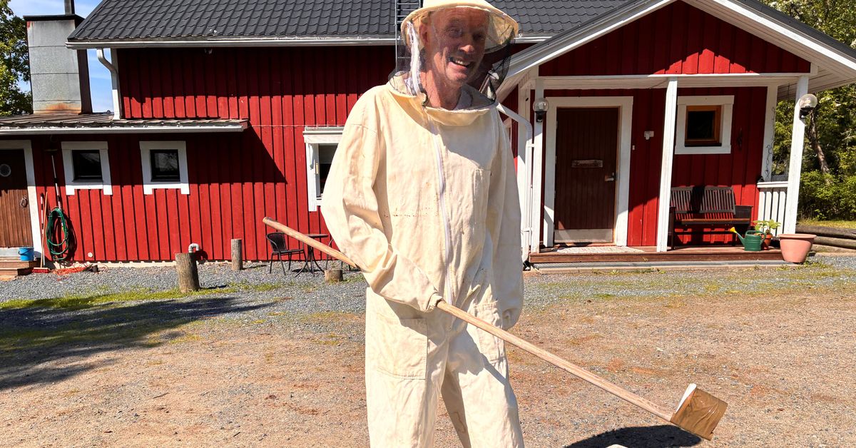 Kymmenet tuhannet mehiläiset päättivät, että Juha Kannasmaan kesäasunnon savupiippu Lapinlahdella on niiden uusi koti
