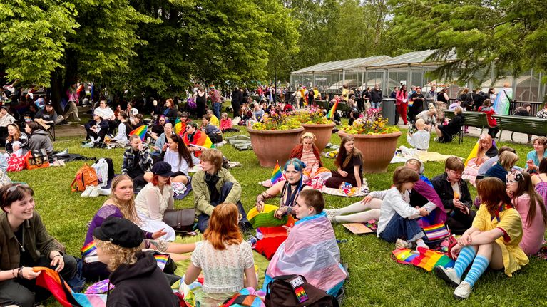 Manse Pride kulkue päättyi Sorsapuistoon.