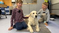Photo shows a dog with two children.