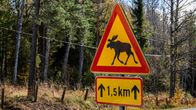 Liikennemerkki: Hirvivaara seuraavan 1,5 km matkalla.