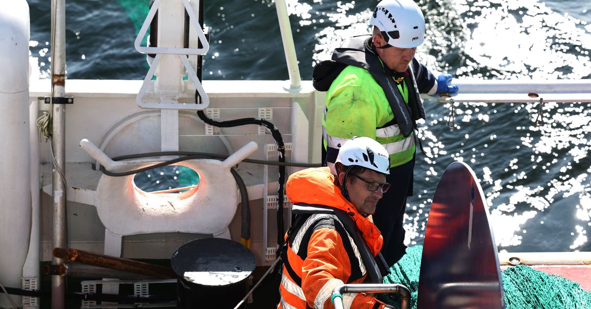 Fiskeresan som kan avgöra branschens framtid: ”Väldigt många skulle ...
