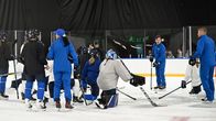 Damlejonen samlade runt tränaren Tero Lehterä.
