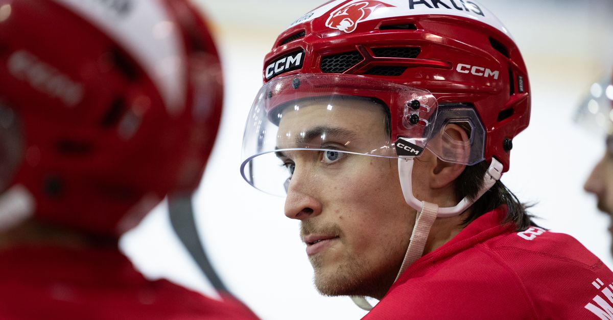 Image accompanying Daniel Mäkiahon huima pistetahti avasi ovet Leijoniin – isä ja ketjukaveri kertovat, mistä sensaatiomainen vire johtuu, from Yle