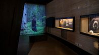Metsämuseo Luston hämärä näyttelysali, jossa seinällä videoprojisointi metsästä.