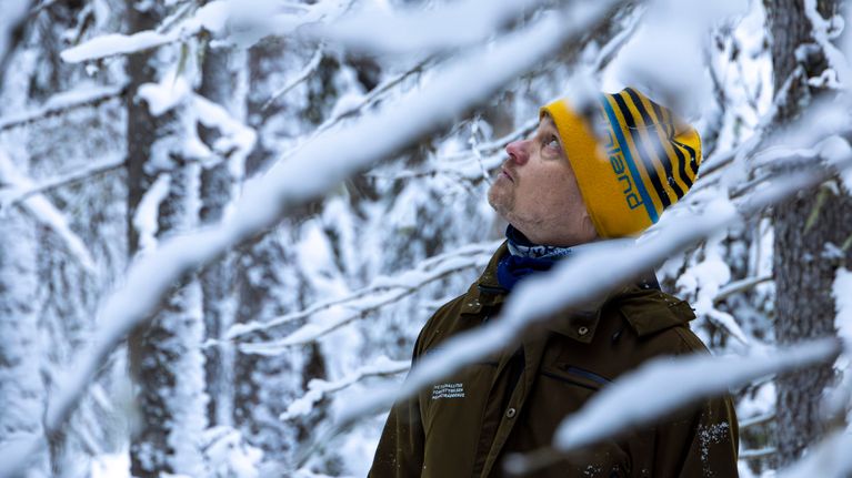 Metsähallituksen ympäristöasiantuntija Reijo Hokkanen katselee puita vanhassa lumisessa metsässä.