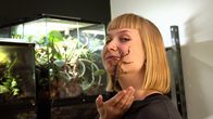 En kvinna håller en vandrande pinne på sitt ansikte framför terrarier med växter i ett inomhusmiljö.