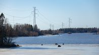 Vesistön yli kulkevat voimalinjat yhdistävät eri alueita toisiinsa, ja niiden takana näkyvä metsä tarjoaa rauhallisen ja luonnonläheisen taustan.