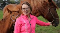 Marjo Kaipainen laitumella suomenhevonen Tähtiviileen ja sen orivarsan Foren kanssa.