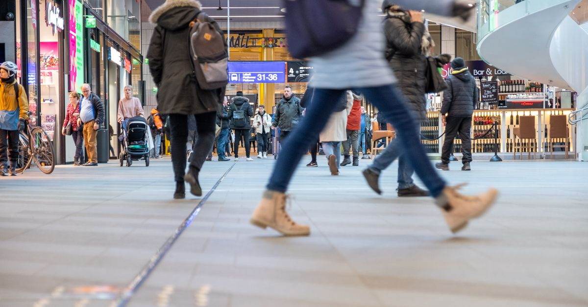 Number of low-income earners has risen | Yle