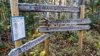 Salamajärven kansallispuiston reittiopasteita.