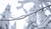 Pakkassäätä Kuopion Puijolla.