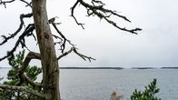 Saaristomaisema.