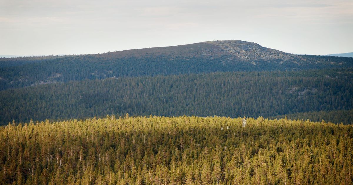 Interior minister: Finland should examine eastern border fence proposal