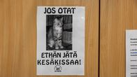 Huomautus seinällä: älä ota kesäkissaa!