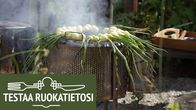 Grilli jossa sipuleita
