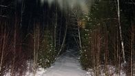 Pimeä ja luminen metsä. 