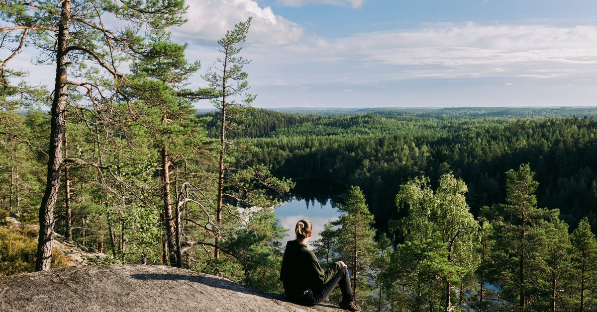 Record numbers visit Finland's national parks in 2021