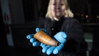 Sarvituttia käytettiin imetyksen tukemiseen tuttipullon tavoin 1800-luvulla. Kyseessä toisesta päästä avattu lehmän sarvi. 