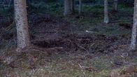Kuvassa näkyy kuoppa keskellä metsää.