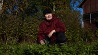 Riitta Nykäsen pihaniitty on syntynyt niittämällä ja poistamalla heinät. Vanhan tilan maaperässä uinuneet siemenet pääsivät näin kasvamaan.  