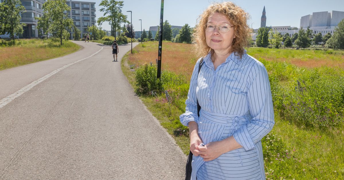 Expert: Bränslepriserna går tillfälligt ned, men stiger till hösten igen