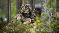 Brittiläinen sotilas tarkkailee maastoa suojassa metsän siimeksessä harjoituksen aikana.