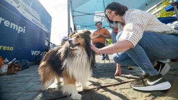 Pia Lagus hälsar på en hund under sändningen.