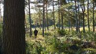 En man går i skogen.