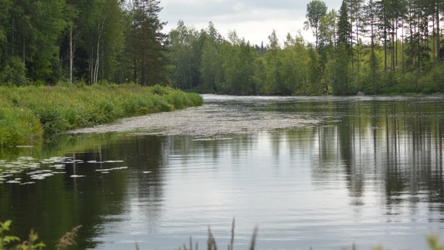Lugnvatten mellan forsar och kraftverk