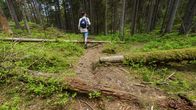 Retkeilijä kävelemässä ylittää kaatuneen puun Nuuksion kansallispuistossa.