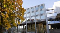 Kouvolan kaupungintalon edustalla vaahterassa lehdet ovat keltaisia ja vihreitä.